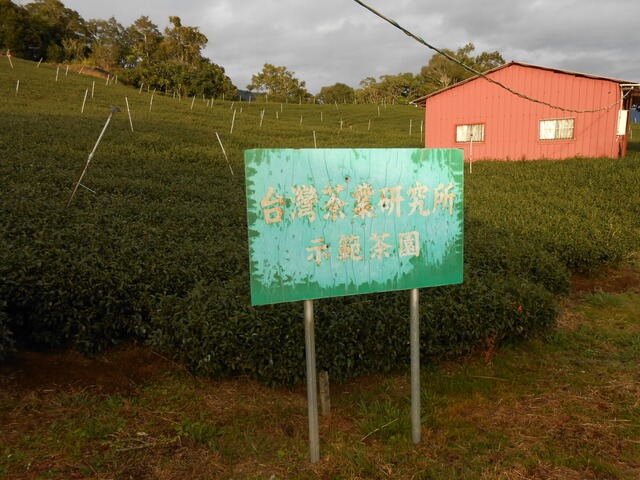 DSCN4080.JPG - 南投仁愛北東眼山、中央東眼山、南東眼山(三眼縱走)