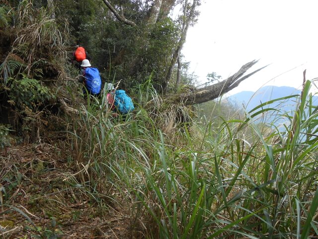 DSCN3992.JPG - 南投仁愛北東眼山、中央東眼山、南東眼山(三眼縱走)