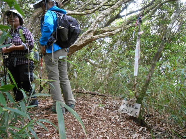 DSCN4025.JPG - 南投仁愛北東眼山、中央東眼山、南東眼山(三眼縱走)