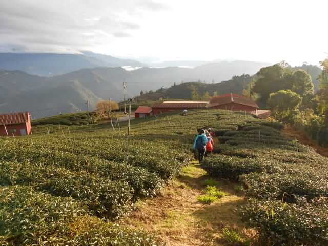 DSCN4079.JPG - 南投仁愛北東眼山、中央東眼山、南東眼山(三眼縱走)