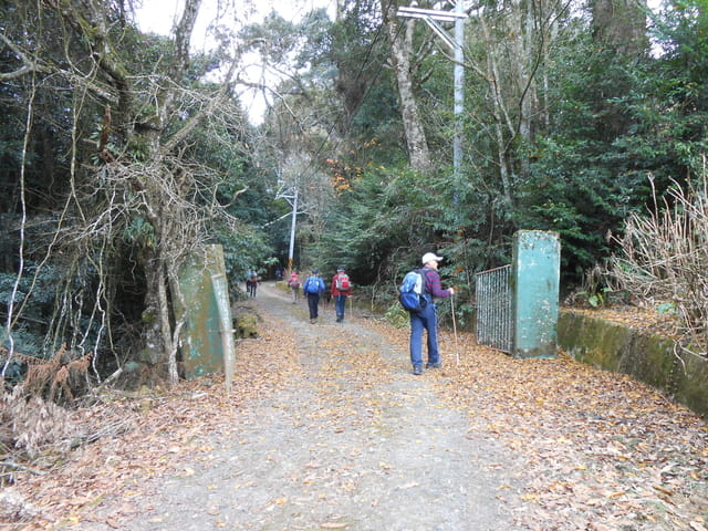 DSCN3953.JPG - 南投仁愛北東眼山、中央東眼山、南東眼山(三眼縱走)