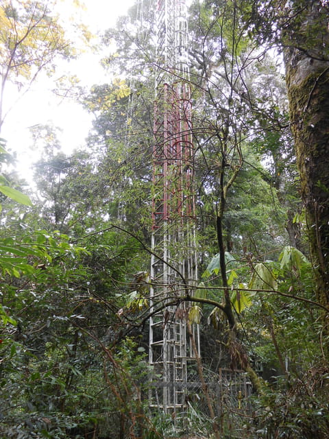 DSCN3972.JPG - 南投仁愛北東眼山、中央東眼山、南東眼山(三眼縱走)