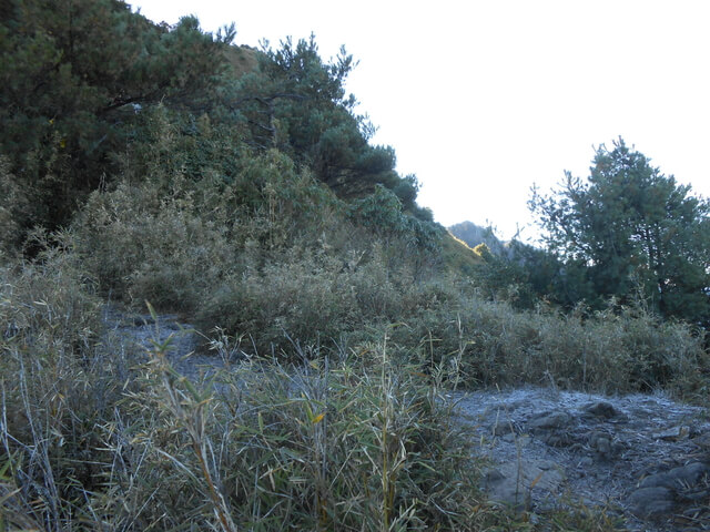 DSCN3896.JPG - 南投信義望鄉山、郡大山北峰、郡大山