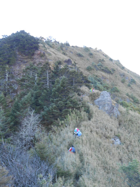 DSCN3901.JPG - 南投信義望鄉山、郡大山北峰、郡大山