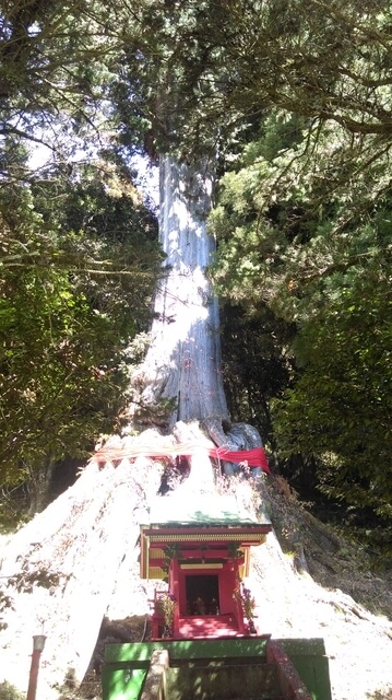 IMAG1312.jpg - 南投信義望鄉山、郡大山北峰、郡大山