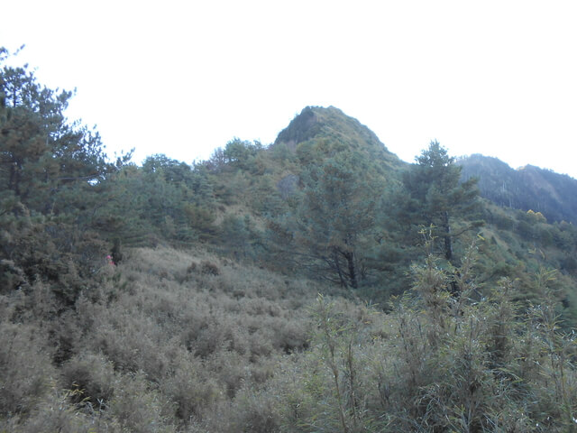 DSCN3890.JPG - 南投信義望鄉山、郡大山北峰、郡大山