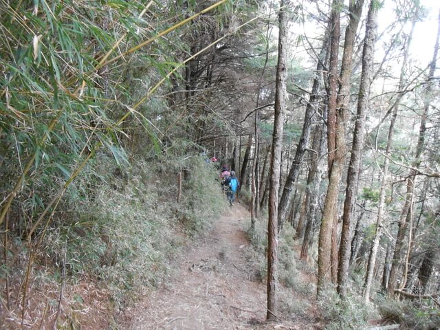 DSCN3943.JPG - 南投信義望鄉山、郡大山北峰、郡大山