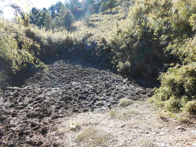 DSCN3918.JPG - 南投信義望鄉山、郡大山北峰、郡大山