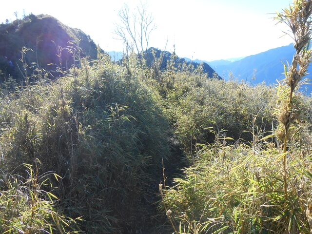 DSCN3905.JPG - 南投信義望鄉山、郡大山北峰、郡大山