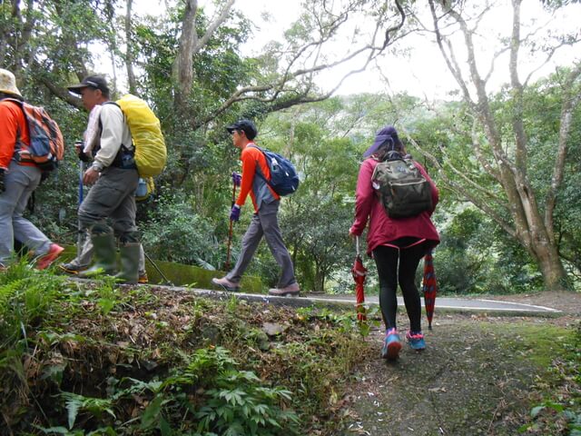 DSCN3804.JPG - 新北三峽雲森瀑布、組合山