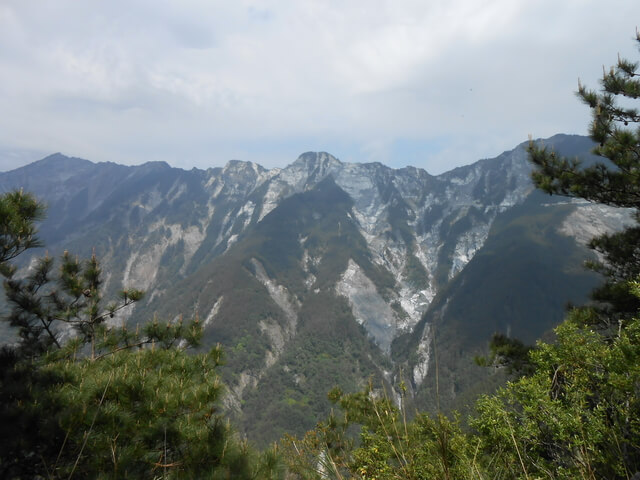 DSCN3741.JPG - 台東海端嘉明湖國家步道DAY-3(嘉明湖避難山屋→向陽國家森林遊樂區)