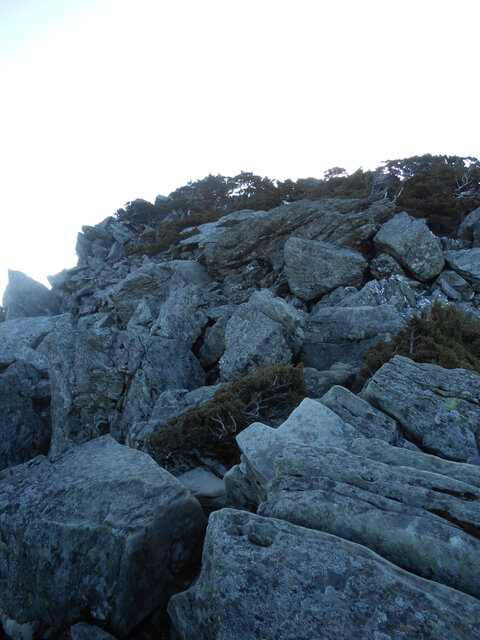 DSCN3644.JPG - 台東海端嘉明湖國家步道DAY-2(向陽山、三叉山、嘉明湖、向陽山北峰→嘉明湖避難山屋)