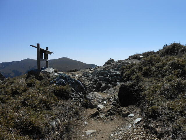 DSCN3674.JPG - 台東海端嘉明湖國家步道DAY-2(向陽山、三叉山、嘉明湖、向陽山北峰→嘉明湖避難山屋)