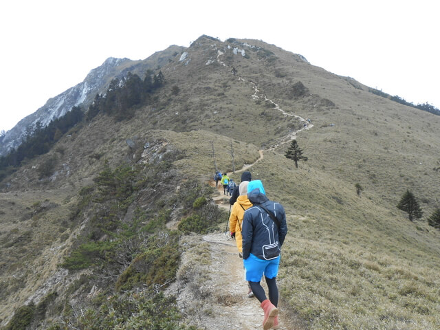 DSCN3699.JPG - 台東海端嘉明湖國家步道DAY-2(向陽山、三叉山、嘉明湖、向陽山北峰→嘉明湖避難山屋)