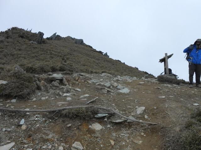 DSCN3702.JPG - 台東海端嘉明湖國家步道DAY-2(向陽山、三叉山、嘉明湖、向陽山北峰→嘉明湖避難山屋)