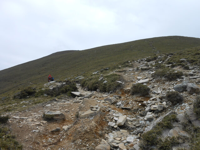 DSCN3695.JPG - 台東海端嘉明湖國家步道DAY-2(向陽山、三叉山、嘉明湖、向陽山北峰→嘉明湖避難山屋)