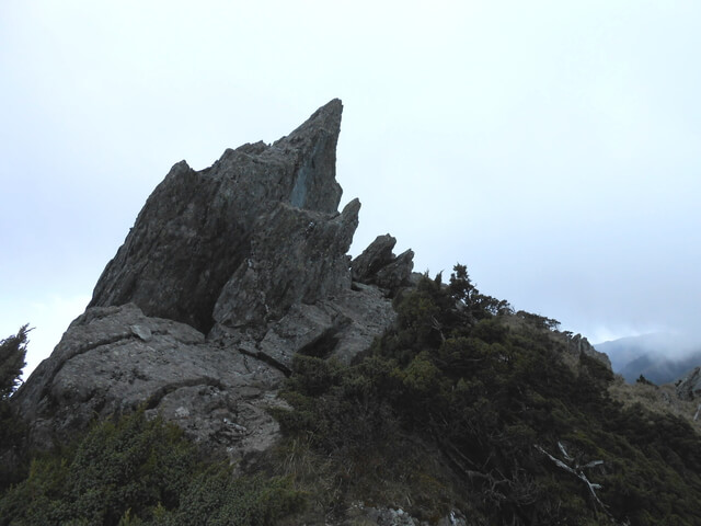 DSCN3703.JPG - 台東海端嘉明湖國家步道DAY-2(向陽山、三叉山、嘉明湖、向陽山北峰→嘉明湖避難山屋)