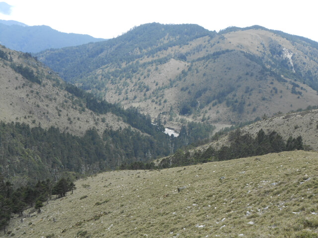 DSCN3697.JPG - 台東海端嘉明湖國家步道DAY-2(向陽山、三叉山、嘉明湖、向陽山北峰→嘉明湖避難山屋)