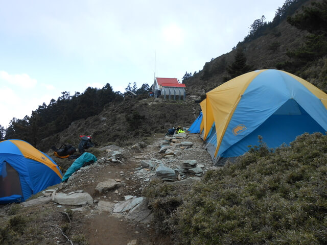 DSCN3707.JPG - 台東海端嘉明湖國家步道DAY-2(向陽山、三叉山、嘉明湖、向陽山北峰→嘉明湖避難山屋)