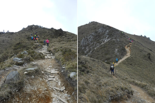 DSCN3700-01.JPG - 台東海端嘉明湖國家步道DAY-2(向陽山、三叉山、嘉明湖、向陽山北峰→嘉明湖避難山屋)