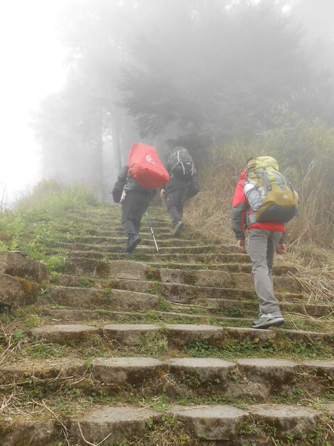 DSCN3577.JPG - 台東海端嘉明湖國家步道DAY-1(向陽國家森林遊樂區→向陽山屋)