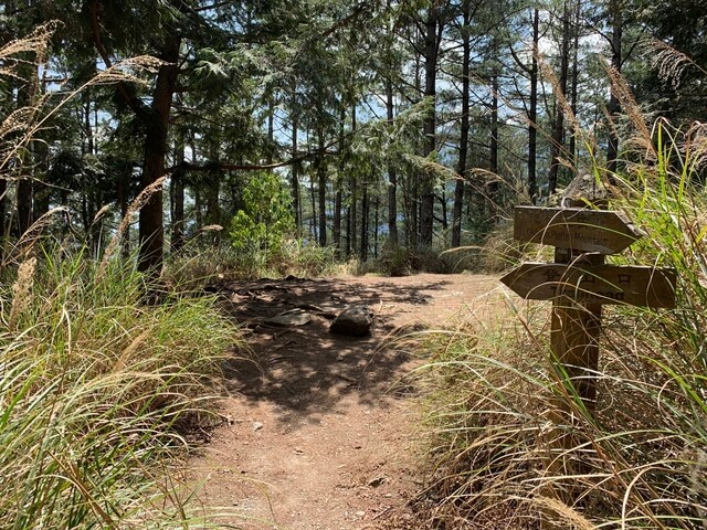 品田山步道1.2K)