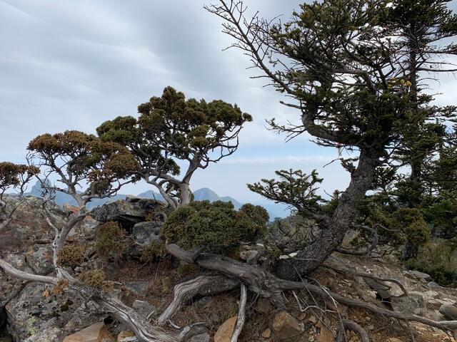 品田山前峰)