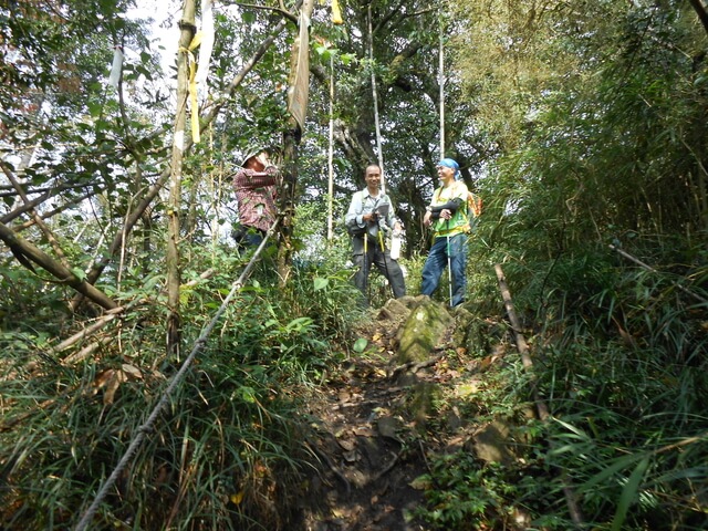 DSCN3492.JPG - 新竹五峰鳥鵝縱走(鳥嘴山、鵝公髻山)