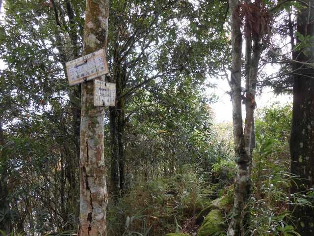 DSCN3501.JPG - 新竹五峰鳥鵝縱走(鳥嘴山、鵝公髻山)