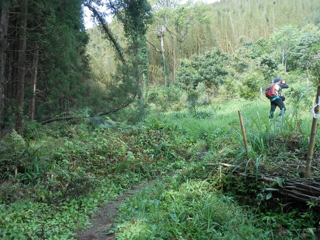 DSCN3486.JPG - 新竹五峰鳥鵝縱走(鳥嘴山、鵝公髻山)