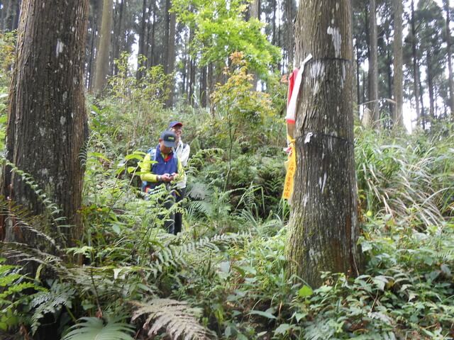 DSCN3532.JPG - 新竹五峰鳥鵝縱走(鳥嘴山、鵝公髻山)