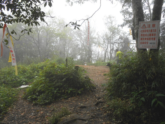 DSCN3546.JPG - 新竹五峰鳥鵝縱走(鳥嘴山、鵝公髻山)