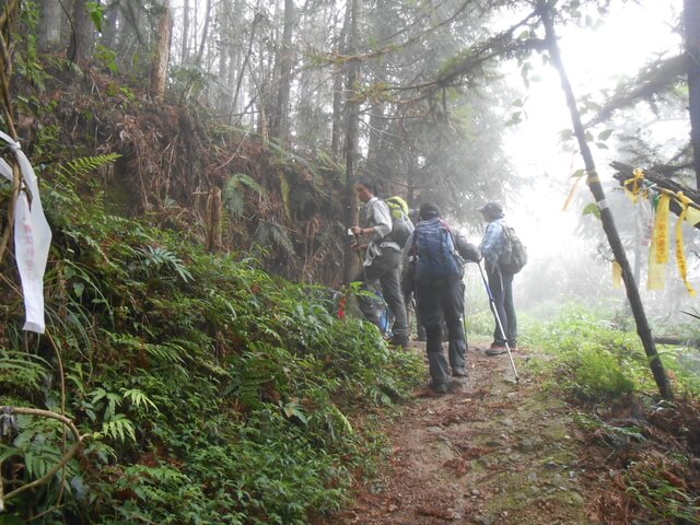 DSCN3558.JPG - 新竹五峰鳥鵝縱走(鳥嘴山、鵝公髻山)