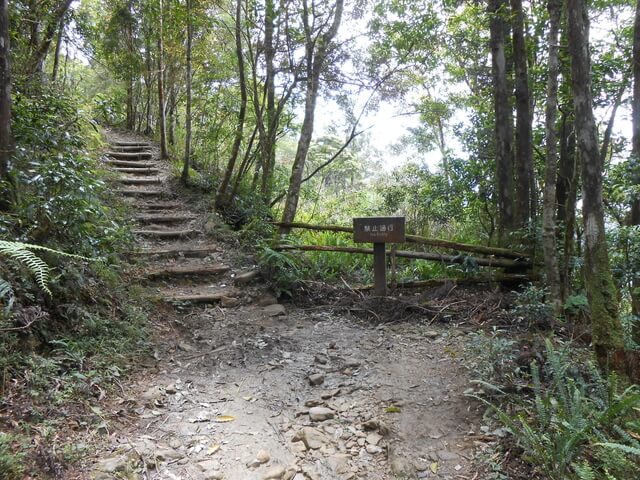 DSCN3406.JPG - 屏東春日浸水營國家步道、台東達仁出水坡山