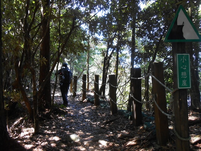 DSCN3313.JPG - 台中和平八仙山主峰步道、八仙山、佳保台山