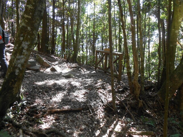 DSCN3309.JPG - 台中和平八仙山主峰步道、八仙山、佳保台山