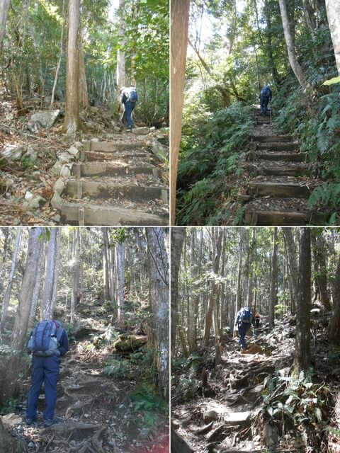 DSCN3302-05.JPG - 台中和平八仙山主峰步道、八仙山、佳保台山