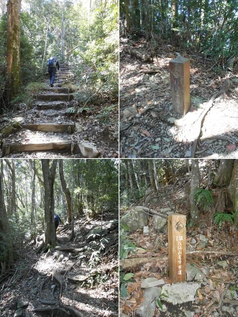 DSCN3298-01.JPG - 台中和平八仙山主峰步道、八仙山、佳保台山