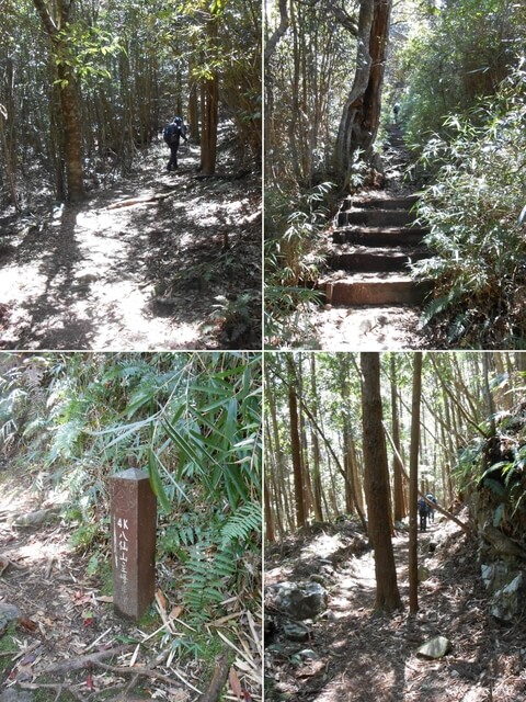 DSCN3315-19.JPG - 台中和平八仙山主峰步道、八仙山、佳保台山