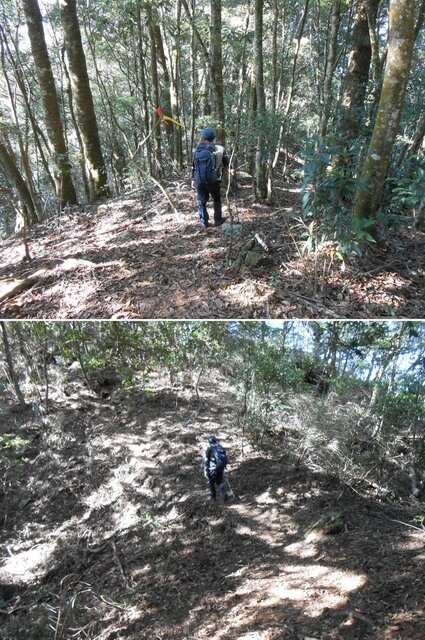 DSCN3363-64.JPG - 台中和平八仙山主峰步道、八仙山、佳保台山