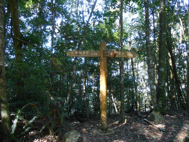 DSCN3295.JPG - 台中和平八仙山主峰步道、八仙山、佳保台山