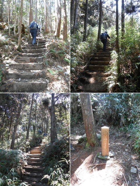DSCN3321-24.JPG - 台中和平八仙山主峰步道、八仙山、佳保台山