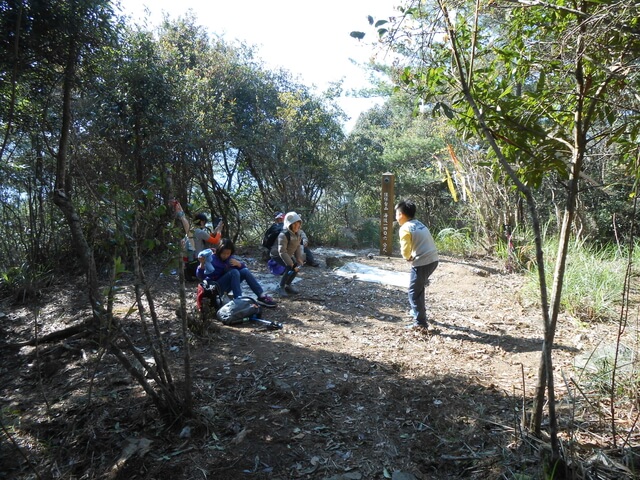 DSCN3365.JPG - 台中和平八仙山主峰步道、八仙山、佳保台山