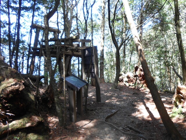 DSCN3356.JPG - 台中和平八仙山主峰步道、八仙山、佳保台山