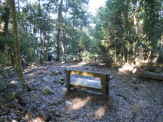 DSCN3369.JPG - 台中和平八仙山主峰步道、八仙山、佳保台山