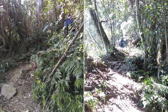 IMAG0989-90.jpg - 南投信義獵人古道、望美山、瓊山