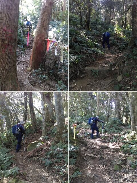 IMAG1004-07.jpg - 南投信義獵人古道、望美山、瓊山