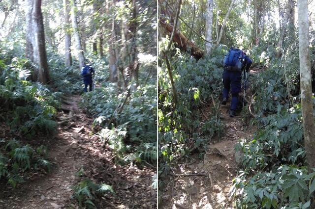 IMAG0991-92.jpg - 南投信義獵人古道、望美山、瓊山