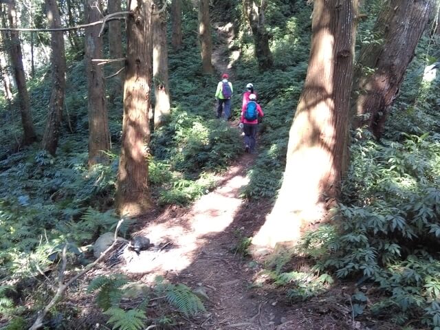 IMAG1020.jpg - 南投信義獵人古道、望美山、瓊山