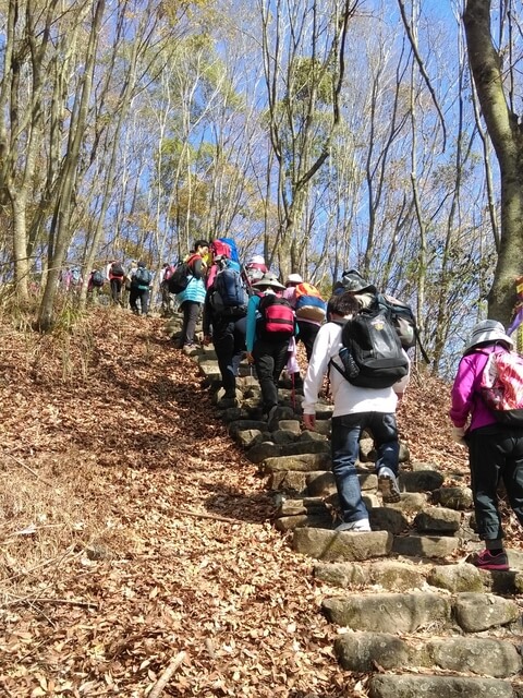 IMAG0935.jpg - 南投信義獵人古道、望美山、瓊山